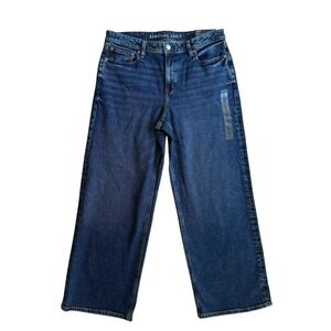 American Eagle Stovepipe High-Rise Stretch Darkest Dazzler Jeans 10 Short 30W